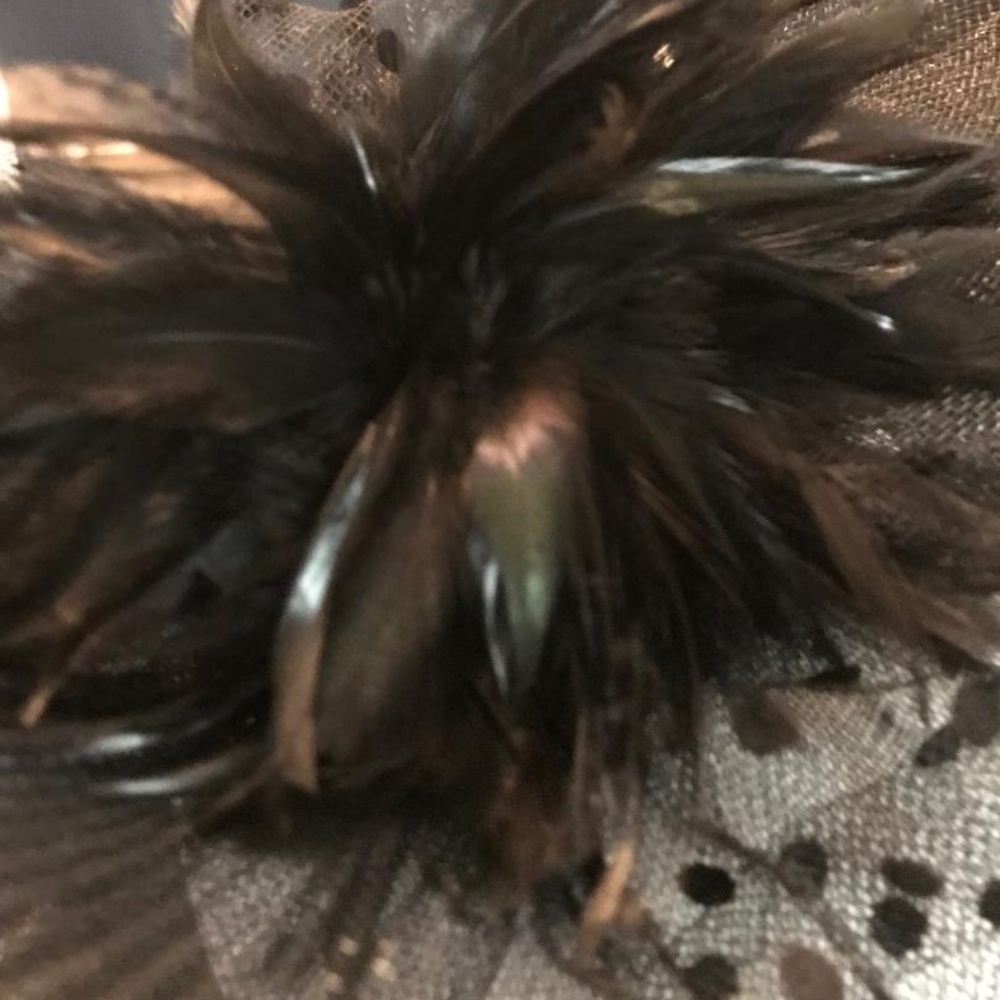 FASCINATOR - Picture 2 of 2
